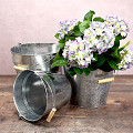35-135-Zilver-1