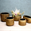 27-560-Goud-1