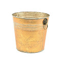 38-725-Goud-0