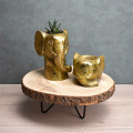 26-134-Goud-1