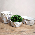 27-042-Goud-1